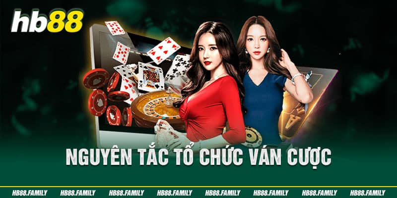 Nguyên tắc tổ chức ván cược